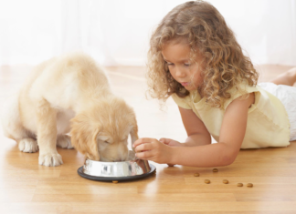 Mejora de la eficiencia de secado de alimentos para mascotas