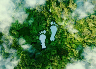 Transparencia medioambiental