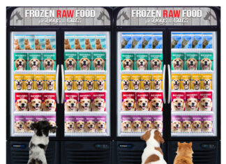 Dietas modernas para gatos y perros pet food